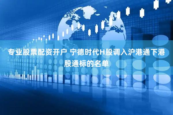 专业股票配资开户 宁德时代H股调入沪港通下港股通标的名单