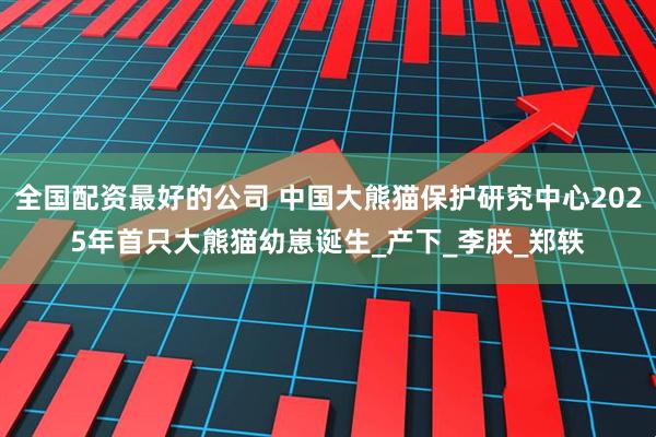 全国配资最好的公司 中国大熊猫保护研究中心2025年首只大熊猫幼崽诞生_产下_李朕_郑轶